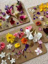 Load image into Gallery viewer, Custom Pressed Flower Frame