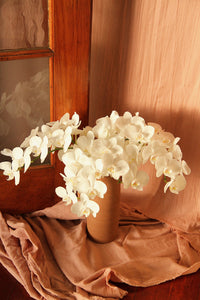 Mini white orchid stem