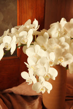 Load image into Gallery viewer, Mini white orchid stem
